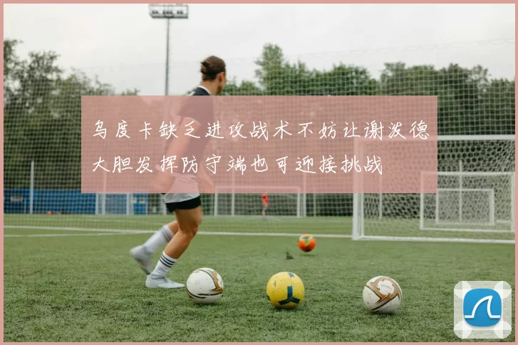 乌度卡缺乏进攻战术不妨让谢泼德大胆发挥防守端也可迎接挑战