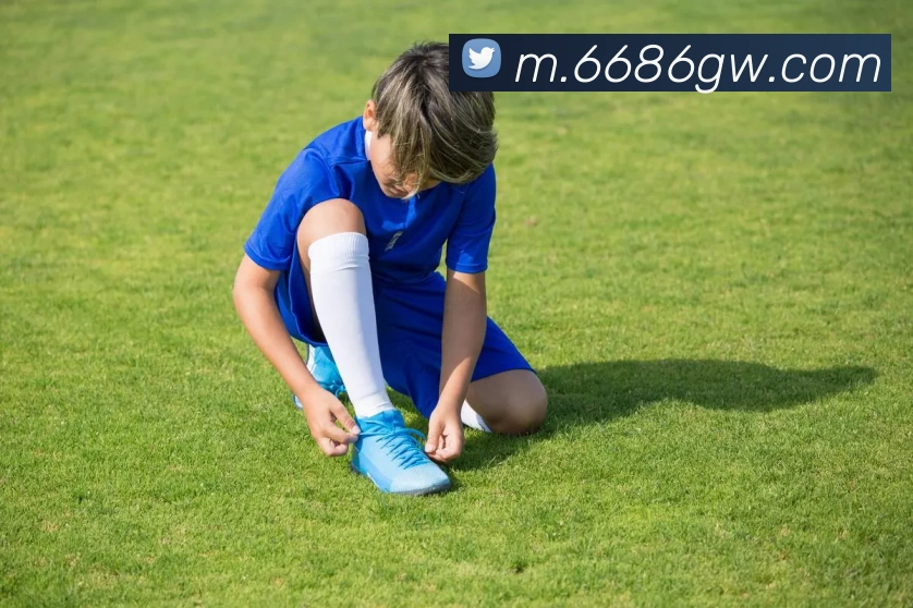 6686体育官网发展历程